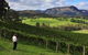 Private Blue Mountains And Winery Day-Trip From Sydney - thumb 5