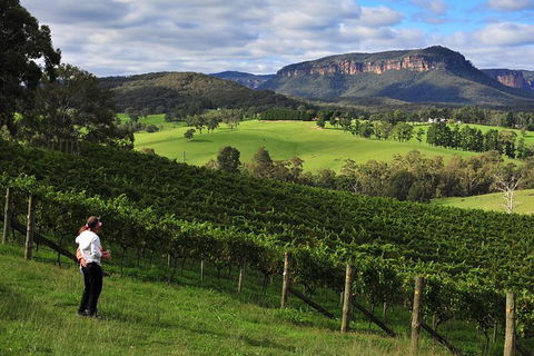 Private Blue Mountains And Winery Day-Trip From Sydney - Darwin Tourism 5