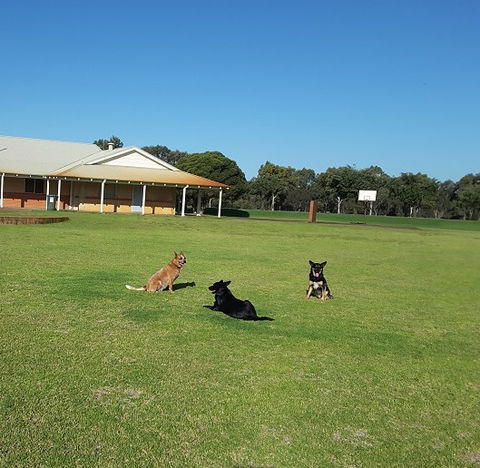 Meet The Animals - Darwin Tourism 3