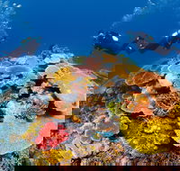 Agincourt Reef - Darwin Tourism