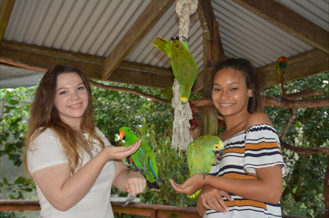 Birdworld Kuranda - Darwin Tourism 0