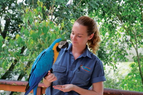 Birdworld Kuranda - Darwin Tourism 1