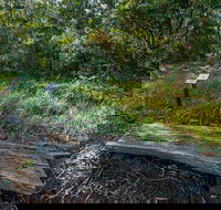 Browns Forest Loop Trail - Darwin Tourism