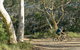 Bundanoon Cycling Route - thumb 0