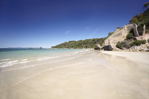 Cape Liptrap Coastal Park - Darwin Tourism 1