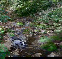 Cascades picnic area - Darwin Tourism