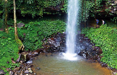 Crystal Shower Falls Walk - Darwin Tourism 0
