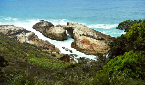 Diamond Head Loop Walk - Darwin Tourism 0
