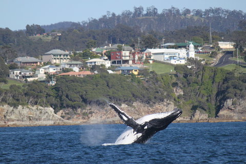 Eden - Darwin Tourism 2