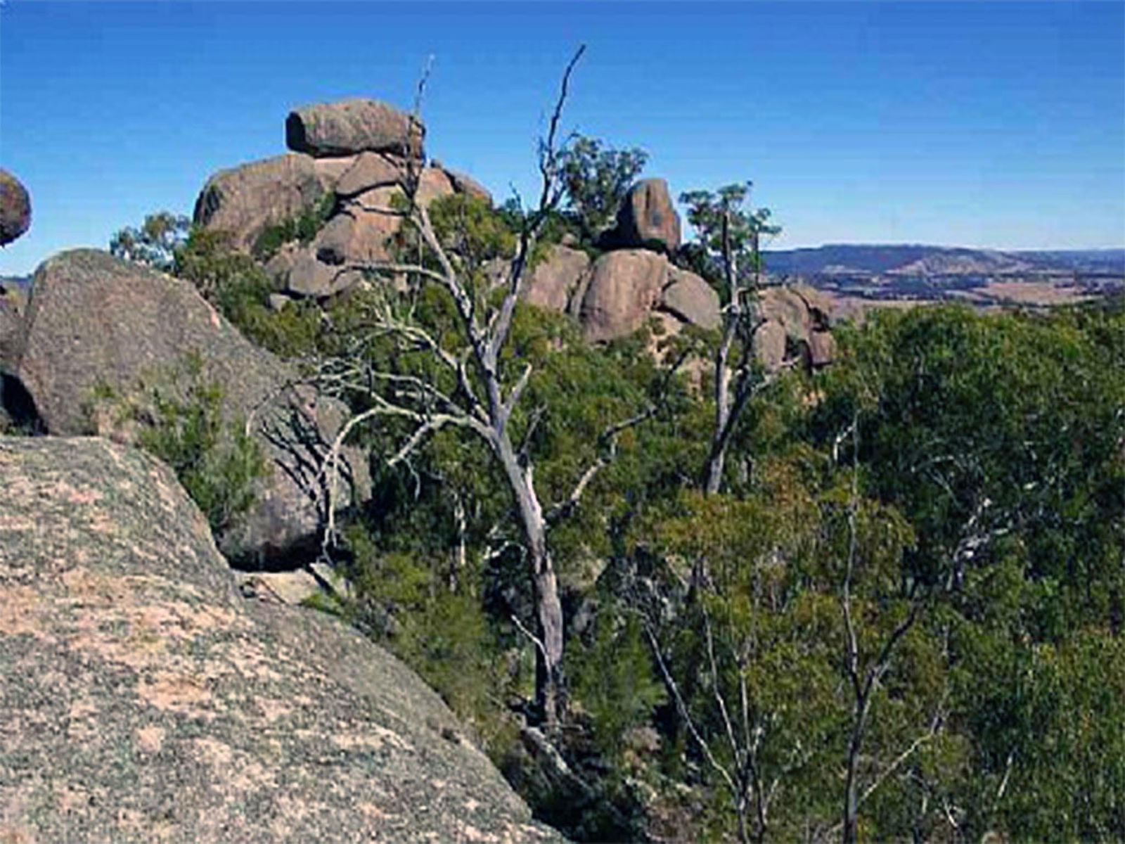 Tarana NSW Darwin Tourism