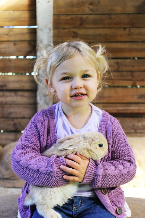 Golden Ridge Animal Farm - Darwin Tourism 0
