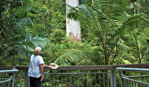 Grandis Picnic Area - Darwin Tourism 0