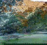 Griffins walking track - Darwin Tourism