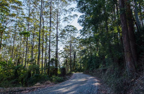 Hastings Forest Way Touring Route - Darwin Tourism 0