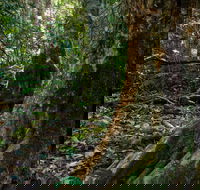 Hidden Treasure Track - Darwin Tourism