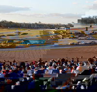 Ipswich Motorsport Precinct - Darwin Tourism