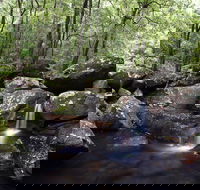 Kangaroo River - Darwin Tourism