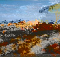 Kunjarra/The Pebbles - Darwin Tourism