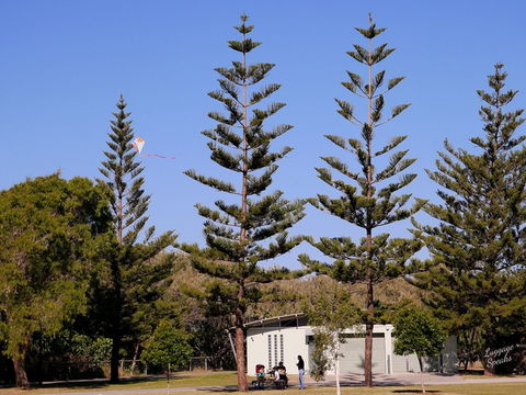 Kurrawa Park - Darwin Tourism 0