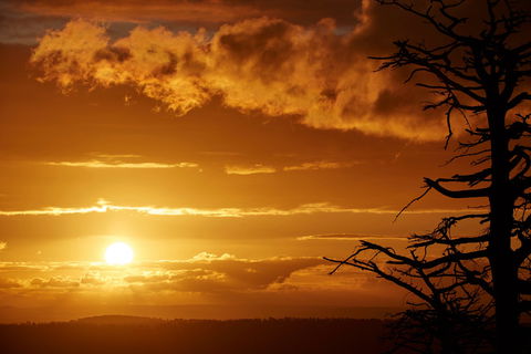 Lady Stonehavens Lookout - Darwin Tourism 0