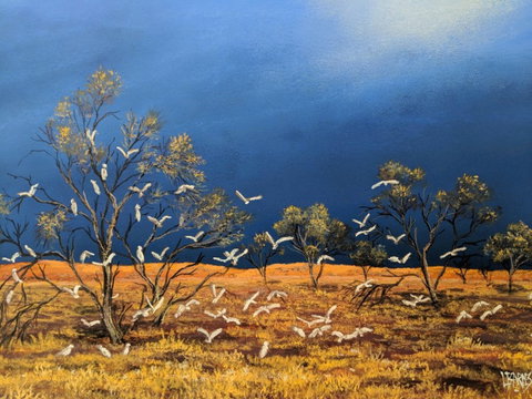 Lyn Barnes Gallery - Darwin Tourism 0