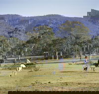 Megalong Valley - Darwin Tourism
