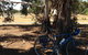 Murchison Rail Trail - thumb 0