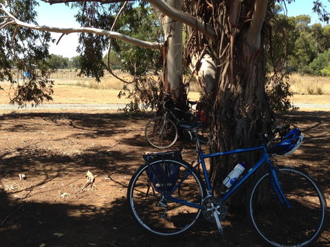 Murchison Rail Trail - Darwin Tourism 0