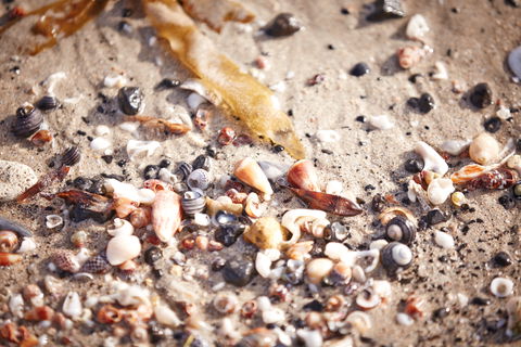 Mushroom Reef Beach - Darwin Tourism 1