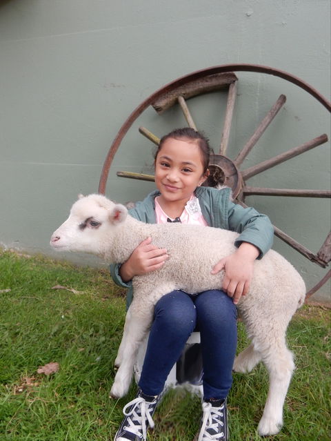 Myuna Farm - Darwin Tourism 0