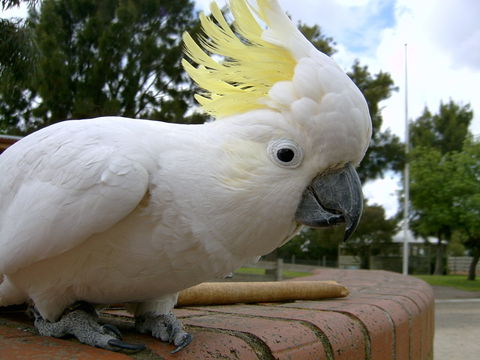Myuna Farm - Darwin Tourism 1