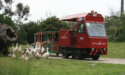 Myuna Farm - Darwin Tourism 2