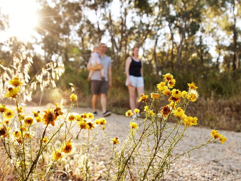 Nail Can Hill - Darwin Tourism 0