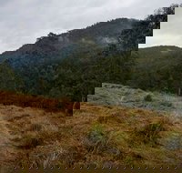 Nowendoc National Park - Darwin Tourism