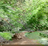 Pirianda Gardens - Darwin Tourism