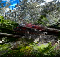 Puffing Billy Railway - Darwin Tourism