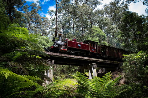 Puffing Billy Railway - Darwin Tourism 0