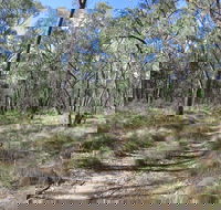 Reef Hills State Park - Darwin Tourism