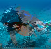 Second Reef Dive Site - Darwin Tourism