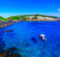 Snorkelling Montague Island