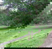 St Albans Reserve - Darwin Tourism
