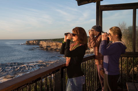 Sutherland Shire - Darwin Tourism 0