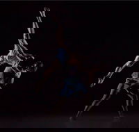Sydney Dance Company - Darwin Tourism