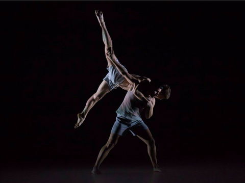 Sydney Dance Company - Darwin Tourism 0