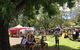 The Channon, Protesters Falls, Nimbin And Mount Nardi - thumb 1