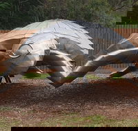 Underwater Marine Sculptures - Darwin Tourism