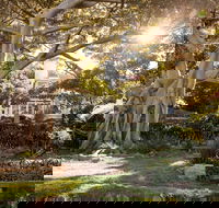 Wendy Whiteley's Secret Garden - Darwin Tourism