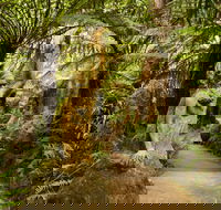 William Ricketts Sanctuary