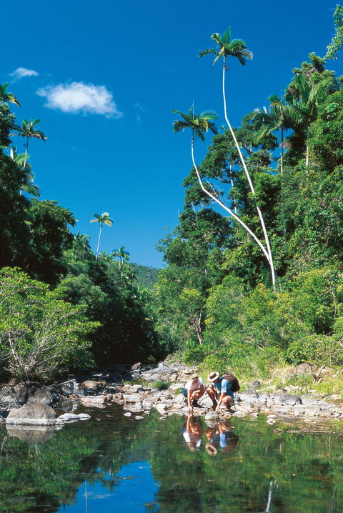 Airlie Beach To Cedar Creek Falls - Darwin Tourism 1