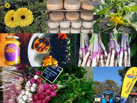 Ballina Farmers Market - Darwin Tourism 1